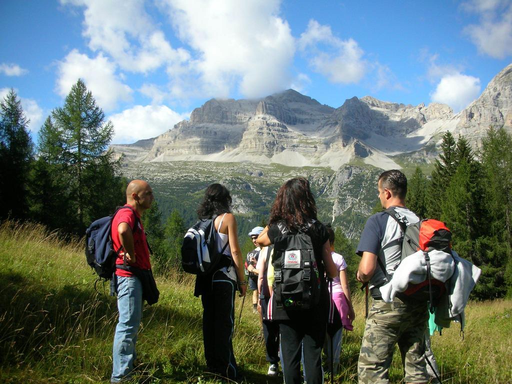 Hotel Alpotel Dolomiten 3*