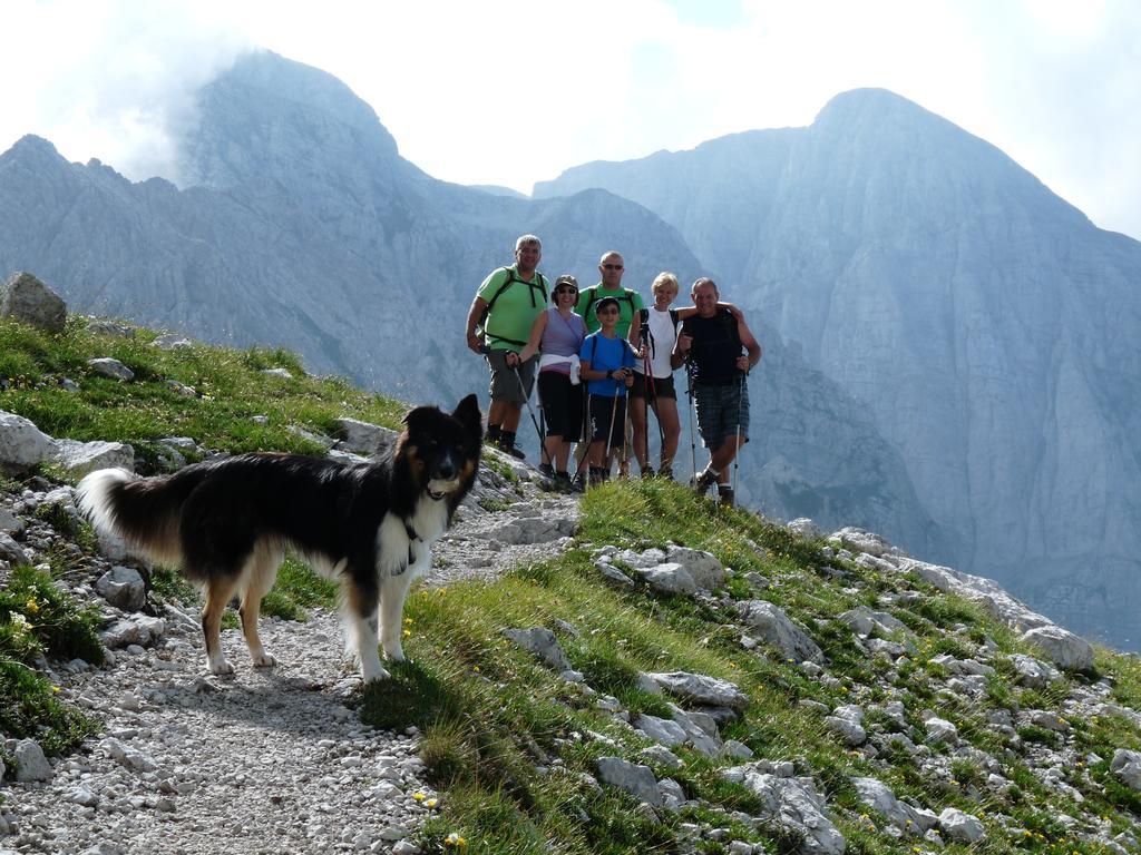 Alpotel Dolomiten